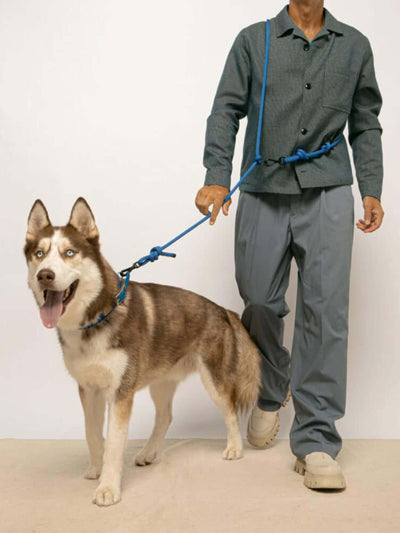 Hands Free Dog Leash | Electric blue