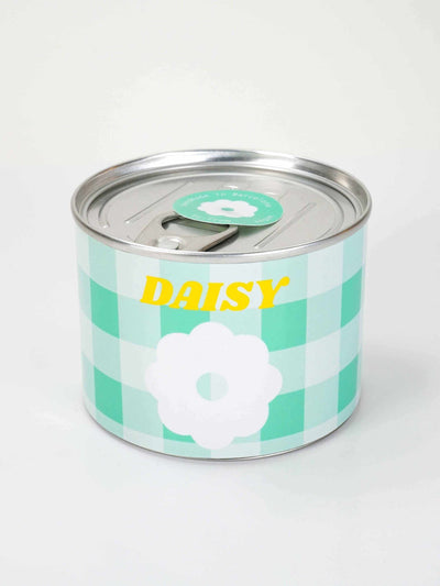 daisy candle tufrom